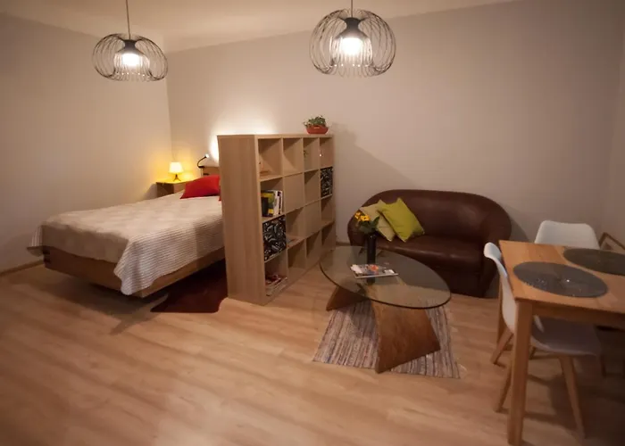 Viestura Dzīvoklis Riga